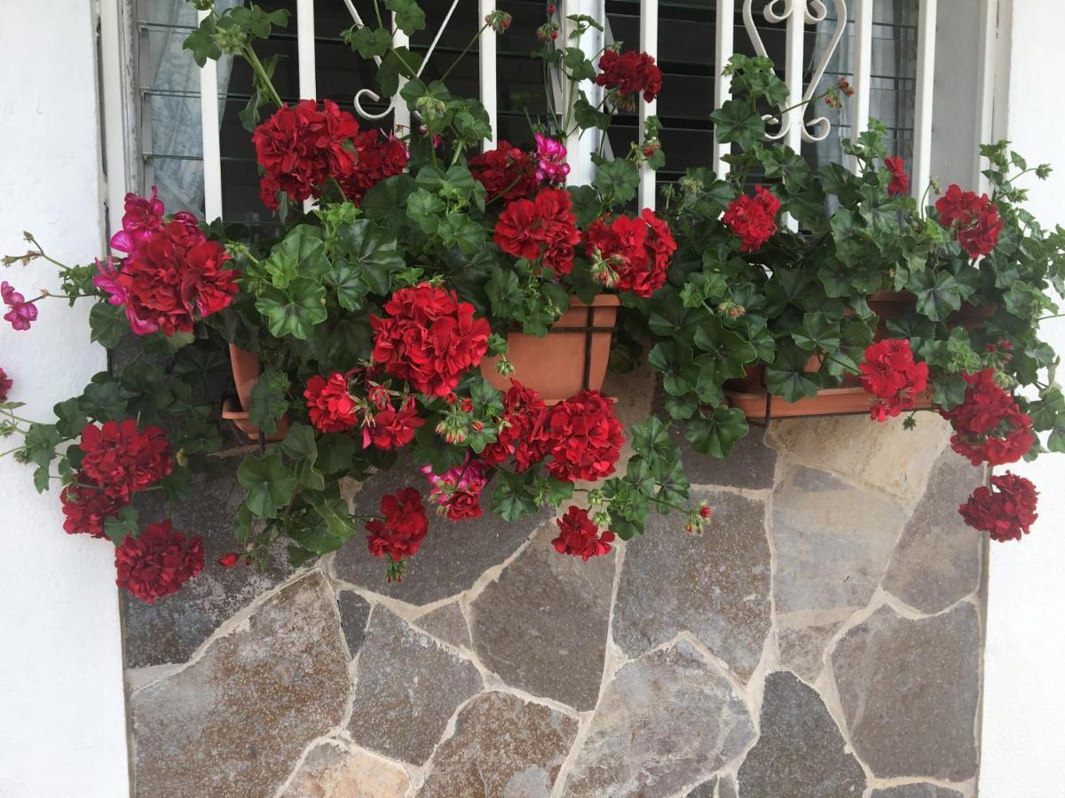 Detached Villa, Private Pool Only 10 Minutes Los Cristianos Valle de San Lorenzo Extérieur photo